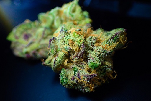 Weed buds